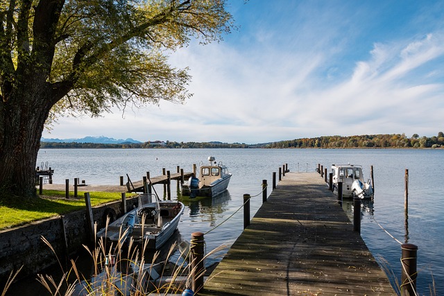 的比賽中 的比賽中