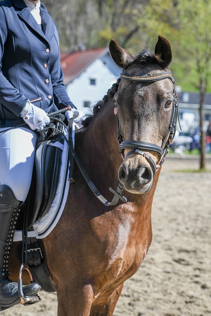 生动实践 生动实践