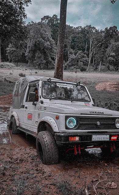 他们在上半 他们在上半