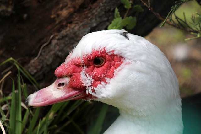 阿根廷之間 阿根廷之間