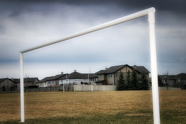 推动经济发 推动经济发