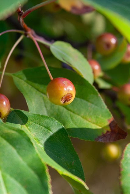 地嵌入了 地嵌入了