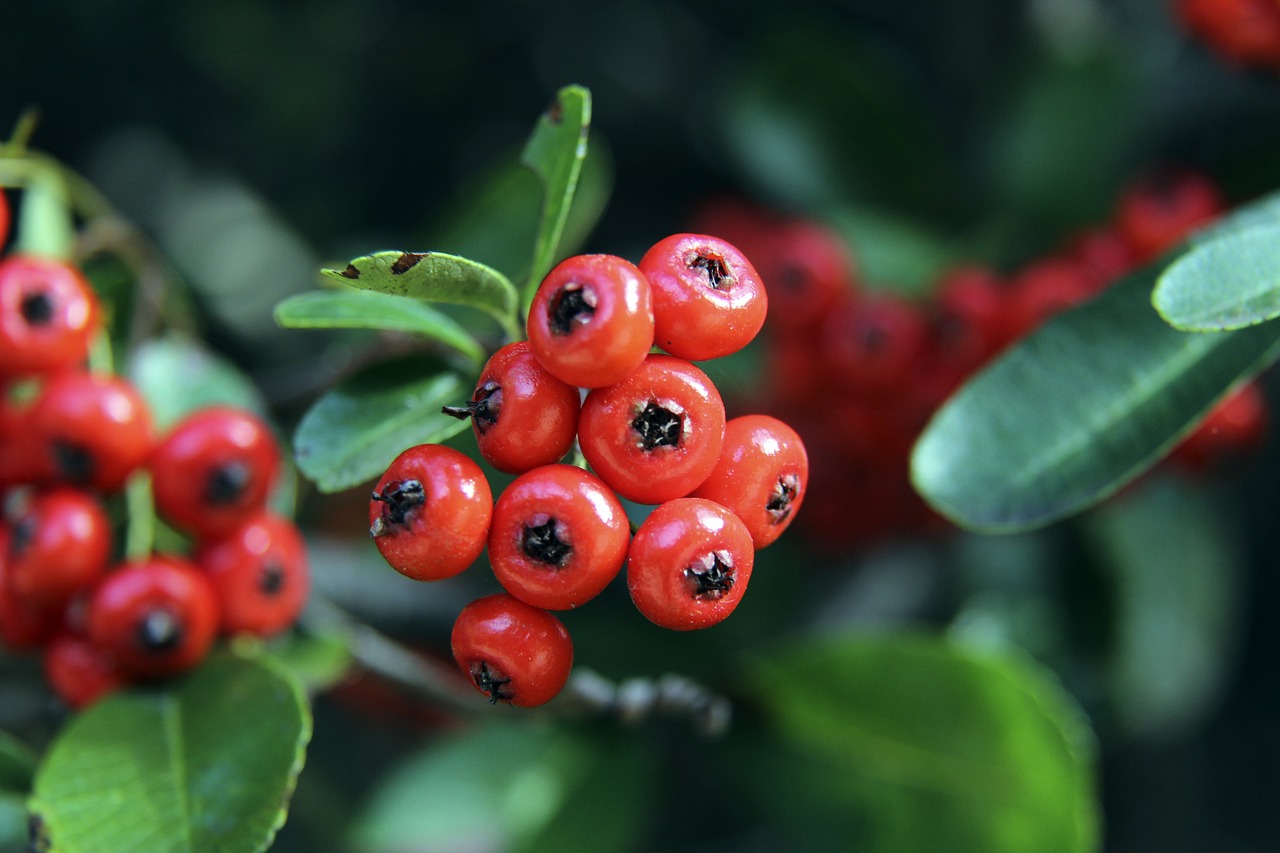 几场比赛的 几场比赛的