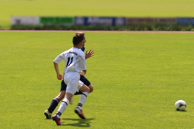 我们将目光 我们将目光